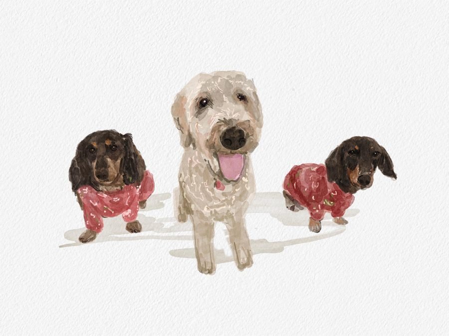 Dakota&rsquo;s photo of their painting