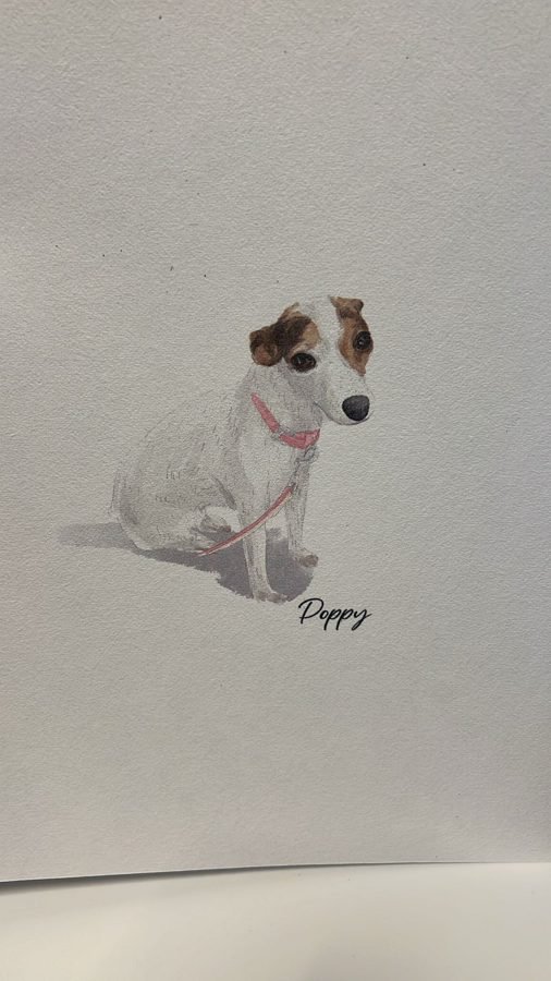 Sally-Ann&rsquo;s photo of their painting