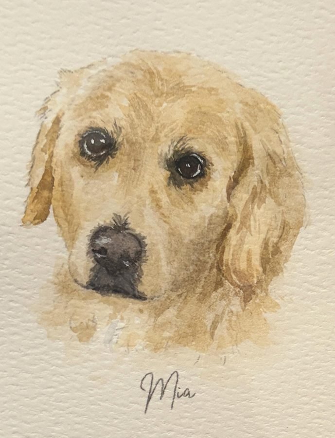 Verified buyer&rsquo;s photo of their painting