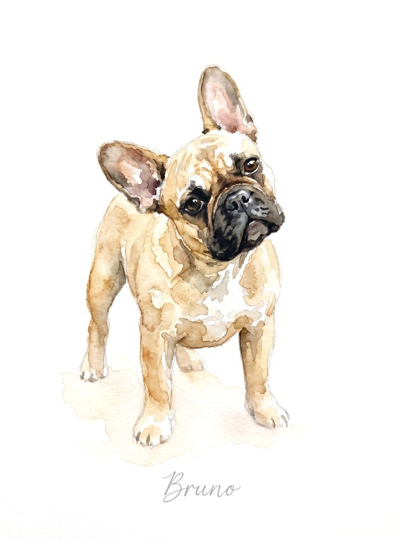 Bruno's finished portrait, name lettered underneath